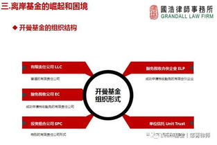 監(jiān)管升級背景下，海外投資的策略調整與投資管理之道