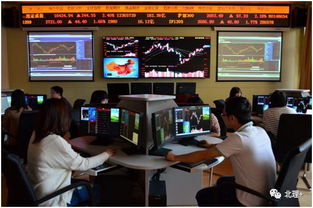 會(huì)計(jì)與金融學(xué)院投資管理專業(yè) 培養(yǎng)未來(lái)金融精英的搖籃