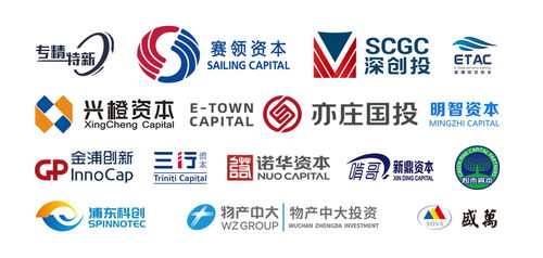 光刻機(jī)巨頭ASML稱中企可能侵權(quán)，中企回應(yīng) 關(guān)鍵技術(shù)完全自研，投資管理合規(guī)